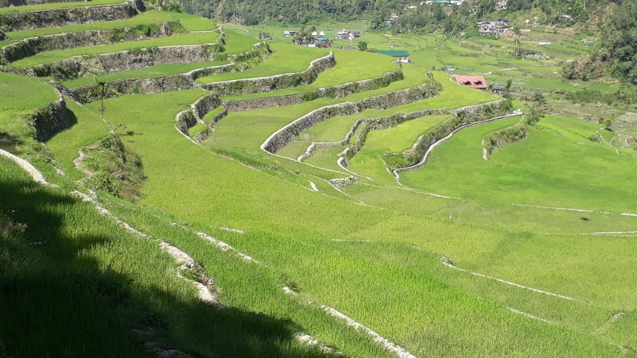 Baleh Boble Guesthouse Banaue Exterior photo