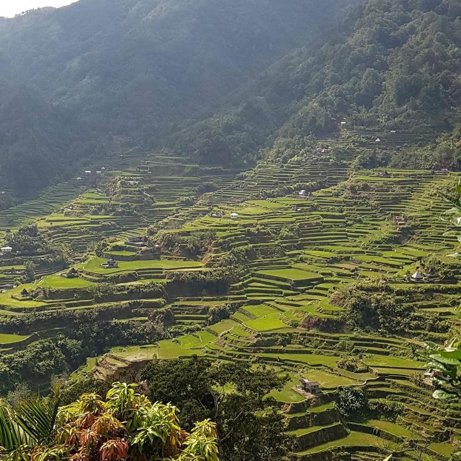 Baleh Boble Guesthouse Banaue Exterior photo