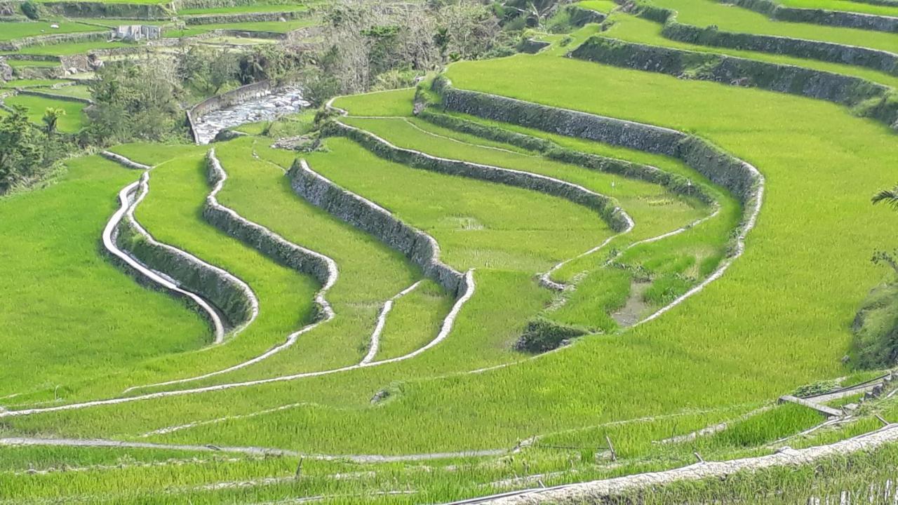 Baleh Boble Guesthouse Banaue Exterior photo