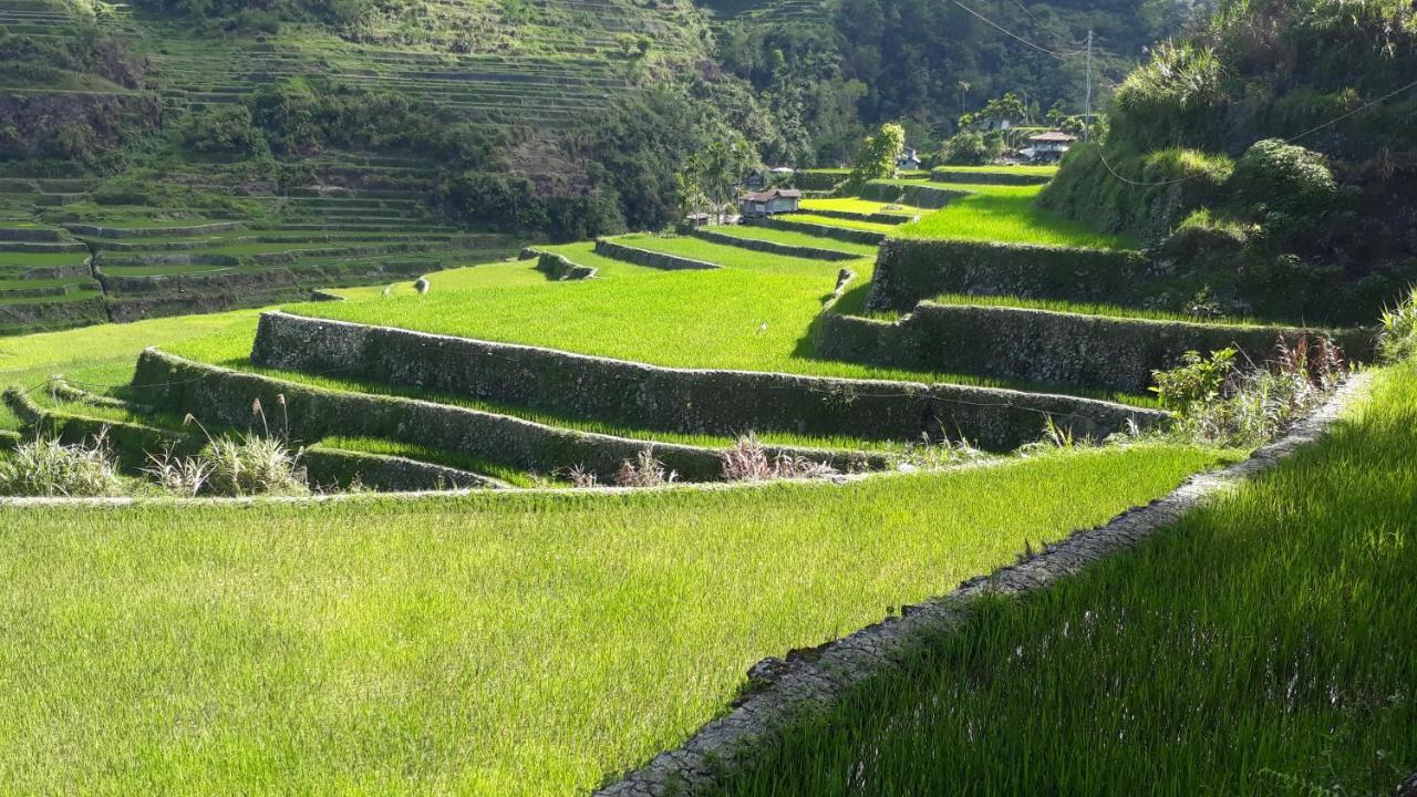 Baleh Boble Guesthouse Banaue Exterior photo